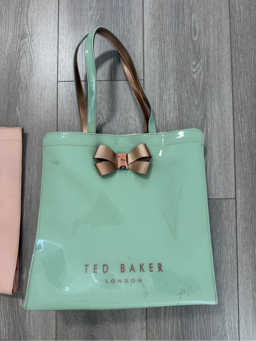 Ted baker hard plastic bag
